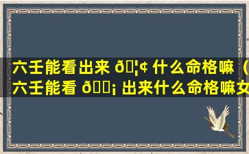 六壬能看出来 🦢 什么命格嘛（六壬能看 🐡 出来什么命格嘛女生）